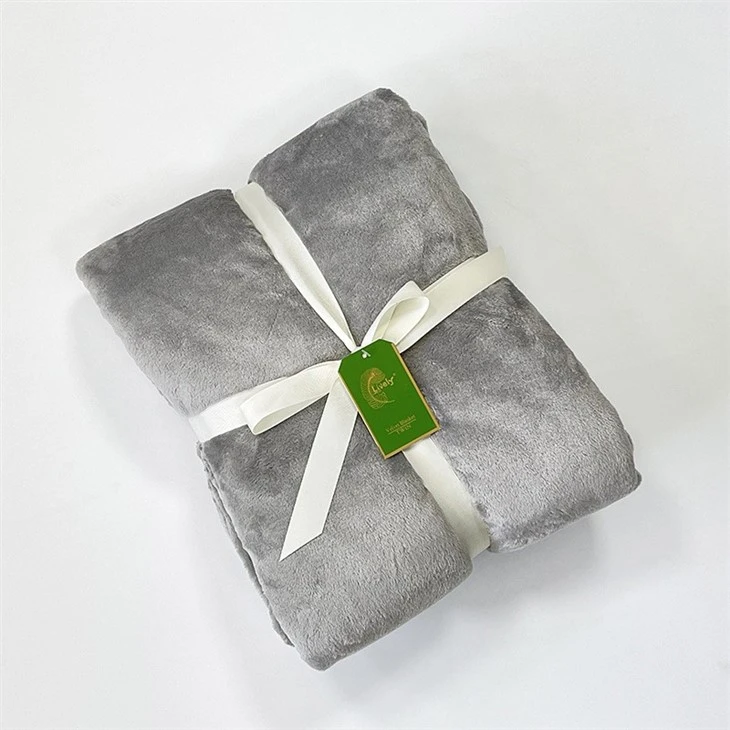 Coral Velvet Blanket price