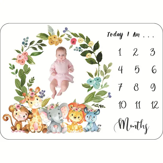 Milestone Blanket For Baby