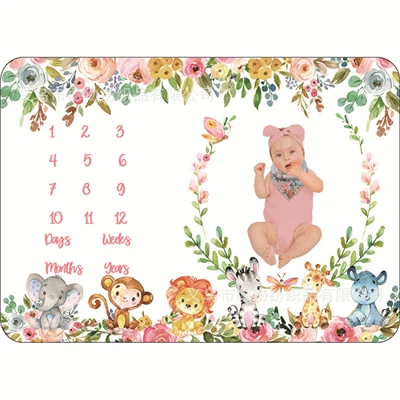 Baby Milestone Blanket Gift Set