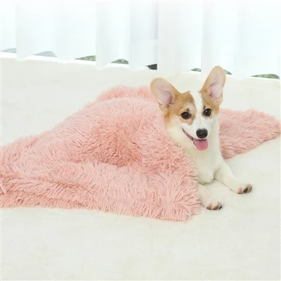 PV Pet Pov Npam