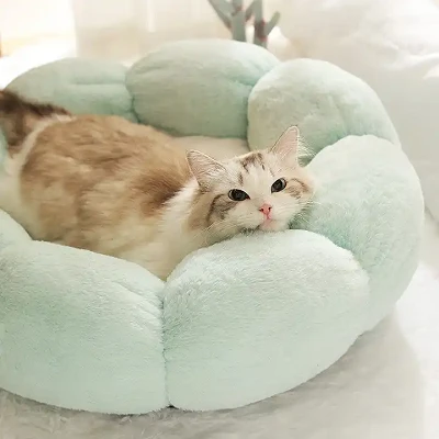 Sov Tsiaj Cushion